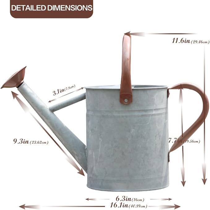 Metal Watering Can, One Gallon Watering Cans Stainless Steel for Outdoor Indoor Garden Plants Watering (Zinc 1 Gallon)