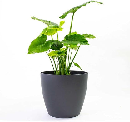 Memphis 15" Round Indoor Floor Planter Pot – Lightweight & Durable Plastic, Modern Design, Made in USA, Recyclable Large Plant Container for Home & Office Décor (Charcoal Meta