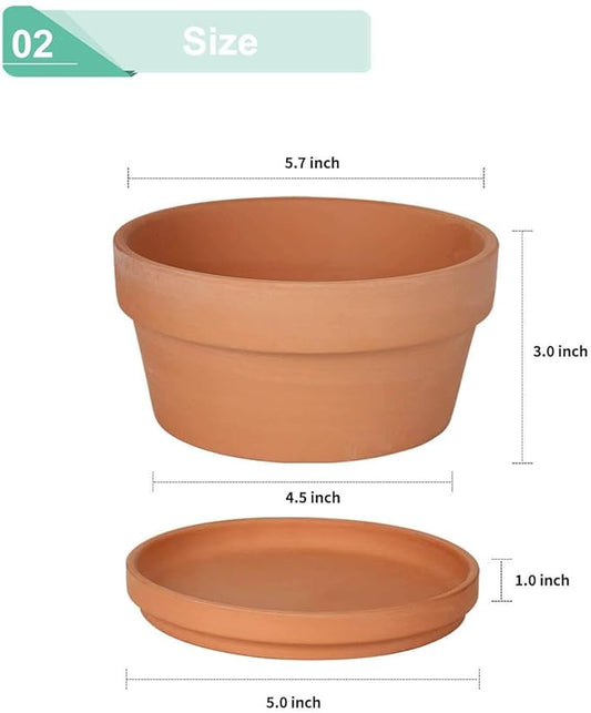 vensovo 5.7 Inch Terracotta Shallow Succulent Pot - 6 Pack Terra Cotta Clay Pots with Saucer, Cacuts Terra-Cotta Indoor and Outdoor Planters with Drainage Hole