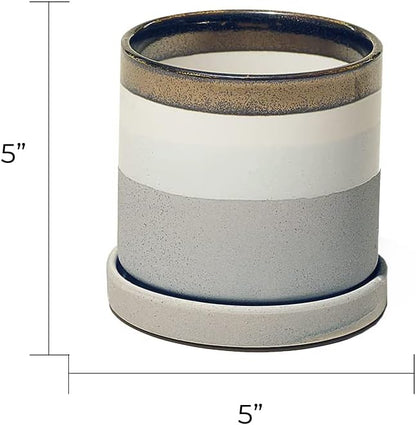 CHIVE ‘Minute’ Ceramic Planter Pot — Cute 5” Colorful Succulent Pots for Indoor & Outdoor House Plants — Beautiful Modern Farmhouse Kitchen Decor — Mocha Cement