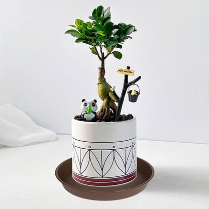 6 Pack Plant Saucer Tray, 4 5 6 8 10 12 13 15 17 19 inch Plant Saucers, Heavy Duty Plastic Plant Drip Trays for Indoors, Flower Plant Water Tray, Plant Trays for Pots Base (6 inch, Chocolate)