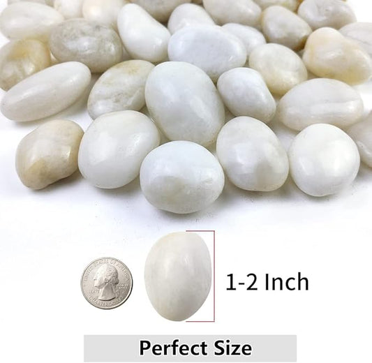 20lbs White River Rocks, 1-2 Inch Natural Pebbles for Indoor Plants, High Polished Decorative Stones Vase Filler Fish Tank Aquariums Landscaping Garden Outdoor and Indoor DIY