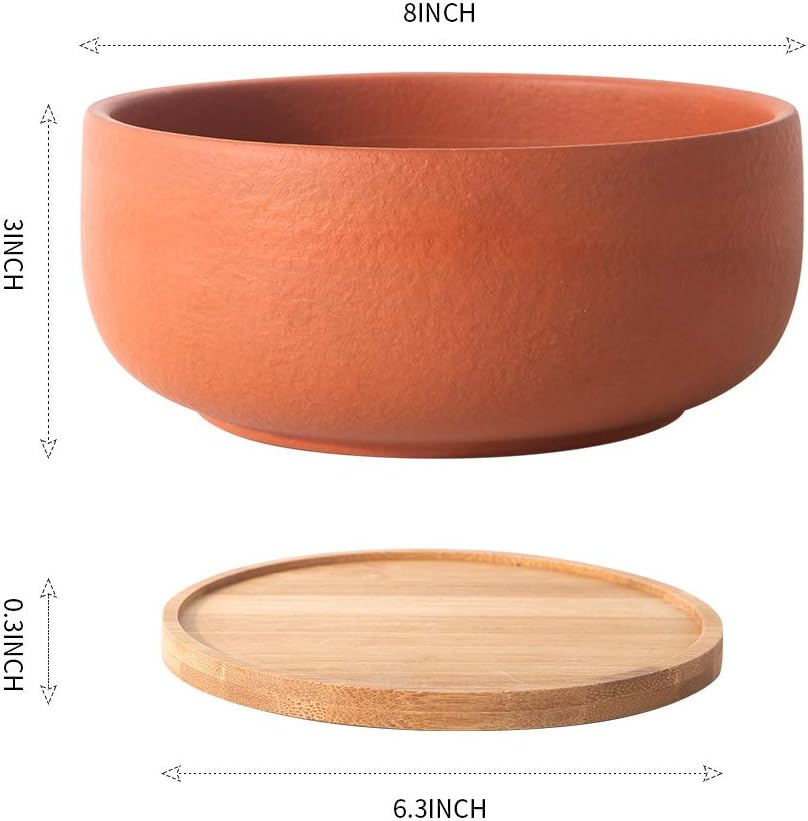 SQOWL Terracotta Planter Pot for Succulent 8 Inch Pottery Round Planter Cactus Clay Flower Pot with Drain Hole and Bamboo Tray Indoor Outdoor
