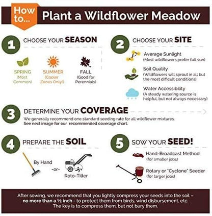 Dirt Goddess Super Seeds ~ Annual Gaillardia Blanket Flower Seed (1/2 Lb) Gaillardia pulchella Non GMO Bulk