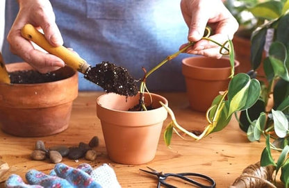 Gardenera Premium Himalayan Cedar Potting Soil Mix - Perfect Balance of Nutrients, Drainage, and Aeration for Healthy Cedar Trees - 20 Quart