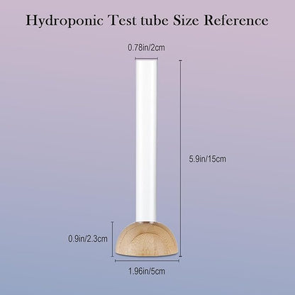 Desktop Glass Plant Propagation Station with 1 Tubes and Wooden Stand - Hydroponic Plant Cuttings Holder for Office Desk, Home Decor, Terrarium