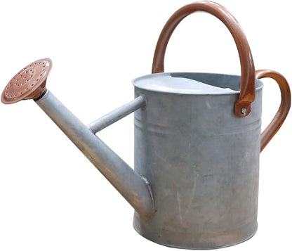 Metal Watering Can, One Gallon Watering Cans Stainless Steel for Outdoor Indoor Garden Plants Watering (Zinc 1 Gallon)