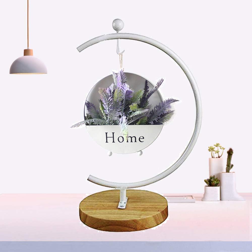 Archi G-Shaped Ornament Display Stand Iron Pothook Stand for Hanging Glass Terrarium/Picture with Wood Base(G Shape-White)