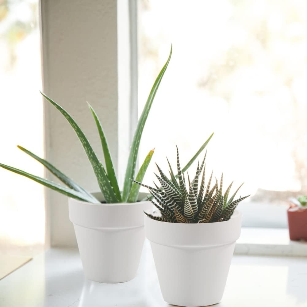 3 Inch Terracotta Pots - 22Pack Clay Flower Pots with Drainage Hole, Succulent Nursery Pot/Cactus Plant Pot. Great for Plants, Crafts, Wedding Favorn, DIY Production (White)