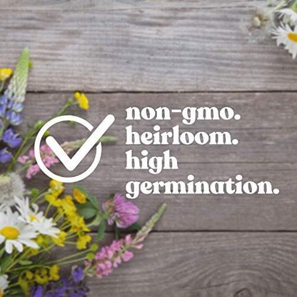 Wildflower Seed Bulk, 3 Oz. (80,000+ Seeds) – 19 Non-GMO Flower Seeds for Shade, Annual & Perennial Wild Flowers Mix for Partial Shade – Shade Tolerant by Mountain Valley Seed