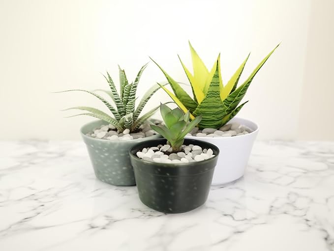 6 LBS River Rocks, StoneCreek, Decorative Garden Stones for Plant Landscaping, Polished Gravel Filler Pebbles for Home Decoration, Vases, Succulents, Flower Beds and Fish Tanks (White, Medium)