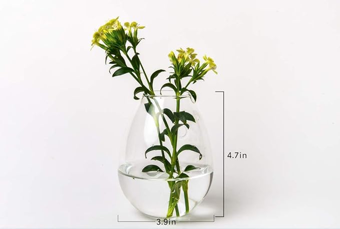 Kingbuy Wall Hanging Propagation Station Glass Plant Terrarium Container Egg Shape for Propagating Hydroponic Plants Home Office Garden Decor Wedding, 2 Pack