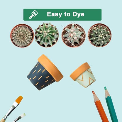 vensovo 3 Inch Terra Cotta & Terracotta Pots with Drainage - 20 Pack Clay Flowerpots, Succulent Nursery Planter Great for Plants, Crafts, Wedding Favor