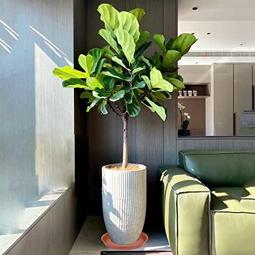 2 Pack of 16 17 inch Plant Saucer Tray (15 inch Base), 2.3" Depth, Heavy Duty Plastic Saucer 16" Round, Plant Tray for Pots, Flower Plant Saucers for Indoors (17 inch, Terracotta)