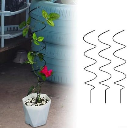 Climbing Plants Support Rack for Tomatoes and Clematis Sturdy Flower Support Stakes for Vertical Growth (B)