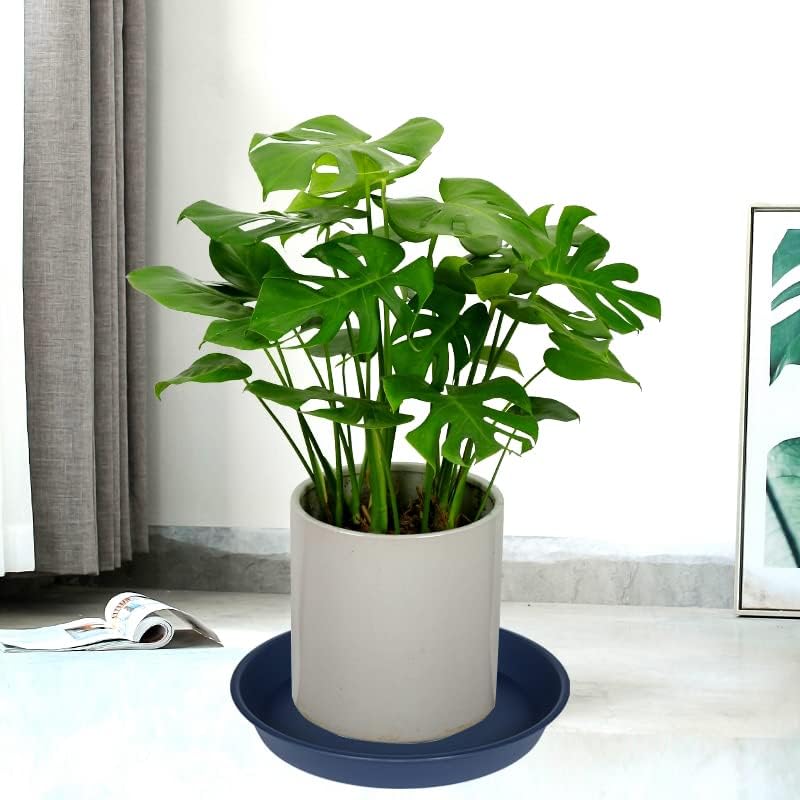 6 Pack of 12 inch Plant Saucer, Heavy Duty Plastic Plant Saucer 12" Round, Durable Plant Tray for Pots, Plant Saucers for Indoors, Plant Trays for Planter (12", Blue)