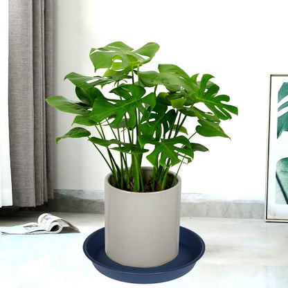 2 Pack of 16 17 inch Plant Saucer (15 inch Base), 2.3" Depth, Plant Trays for Pots, Plastic Plant Saucers for Indoors, Flower Pot Drip Trays for Planter (17", Blue)