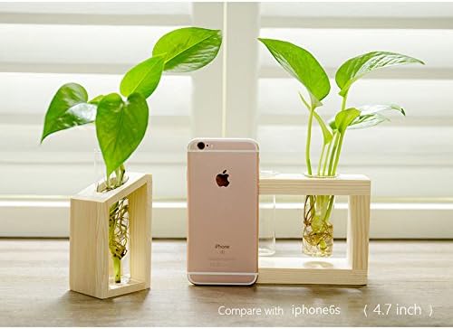Propagation Station, Plants Terrarium, Plants Lover Gifts for Women,Plant Cutting Holder Home décor,Gifts for Women,House Warming New Home-2 Tubes-Beige