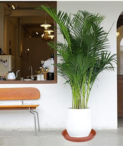 2 Pack of Bird Bath Bowl 14 inch, 1.6" Depth, 12 14 16 18 19 inch Heavy Duty BirdBath Bowls only, Plastic Round Large Plant Saucer Dish for Garden (14", Terracotta)