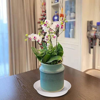 6 Pack Plant Saucer 4 5 inch (4 inch Base), Heavy Sturdy Plant Drainage Tray for Indoors (5", Creamy White)