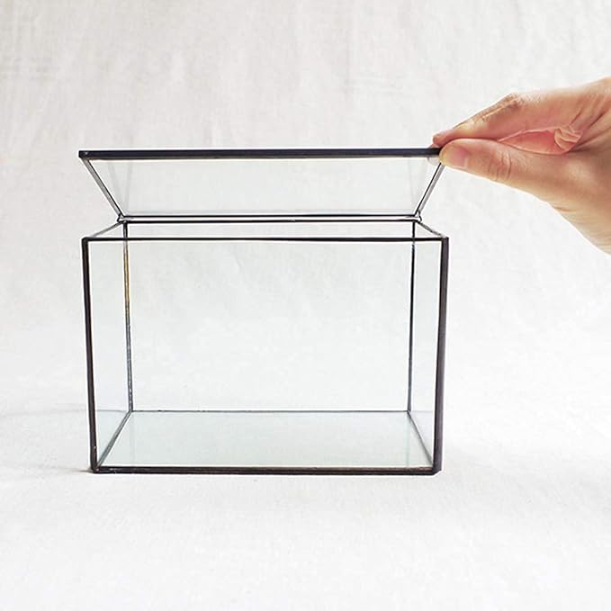 Rectangle Small Plants Terrarium with Lid, Black Geometric Clear Planter Pot, Little Glass Container Box for Tabletop Decor,6.7 x 3.9 x 4.7 inches
