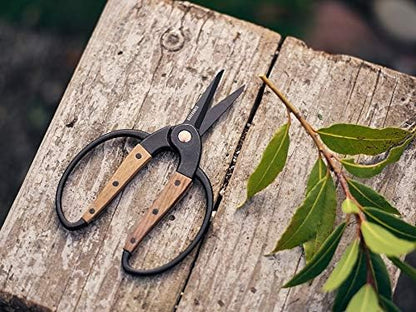 Barebones Garden Scissors - Walnut Scissors - Garden Supplies and Indoor Plant Accessories - Plant Shears with Wide Handles - Comfortable Fit Trimming Shears (Small)