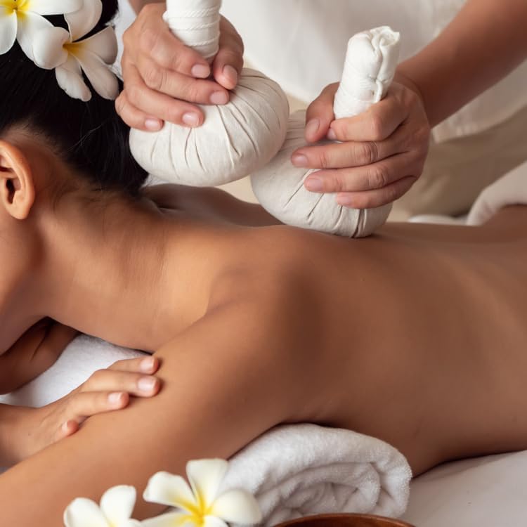 Green Turmeric Live Plant - (Curcuma aeruginosa) - Rare Medicinal Herb, Vibrant Pink Flowers, Ideal for Tropical Gardens (2 Green Turmeric Bags)