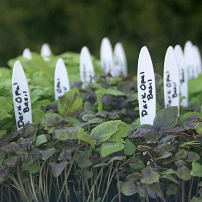 500 Pcs Plant Tags Waterproof 4 x 0.8 Inch, Plant Labels Garden Nursery Labels Plastic Pot Labels White,Box of 500