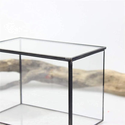 Rectangle Small Plants Terrarium with Lid, Black Geometric Clear Planter Pot, Little Glass Container Box for Tabletop Decor,6.7 x 3.9 x 4.7 inches