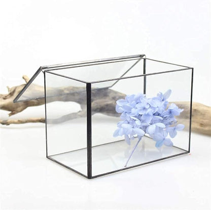Rectangle Small Plants Terrarium with Lid, Black Geometric Clear Planter Pot, Little Glass Container Box for Tabletop Decor,6.7 x 3.9 x 4.7 inches