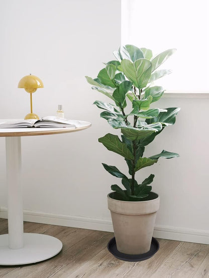 2 Pack of 16 17 inch Plant Saucer (15 inch Base), 2.3" Depth, Plant Trays for Pots, Plastic Plant Saucers for Indoors, Bird Bath Bowls, Flower Pot Drip Trays for Planter (17", Black)