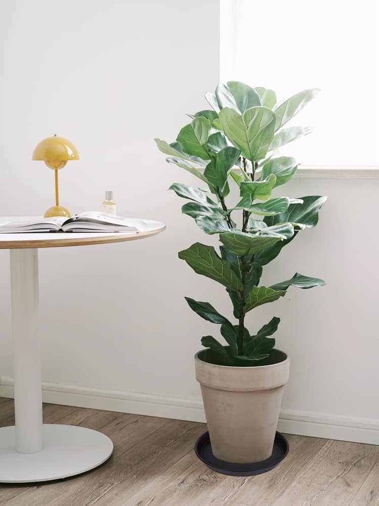 6 Pack of 12 inch Plant Saucer, Heavy Duty Plastic Plant Saucer 12 inch Round, Plant Tray for Pots, Flower Saucers for Indoors, Garden Plate Bowls, Trays for Planter 10"/11"/12" (Black)