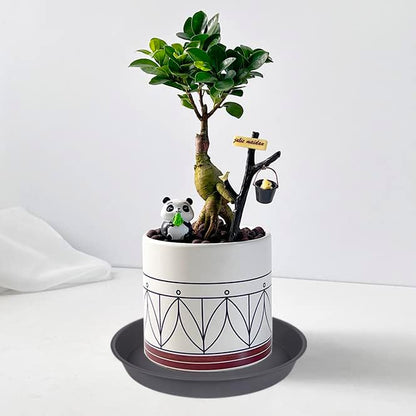 6 Pack Planter Saucer Tray Gray, 4 6 8 10 12 13 15 17 19 inch Pot Saucers, Heavy Duty Plastic Plant Saucers for Indoors, Plant Drip Tray, Plant Trays for pots Planter (6 inch, Cement)