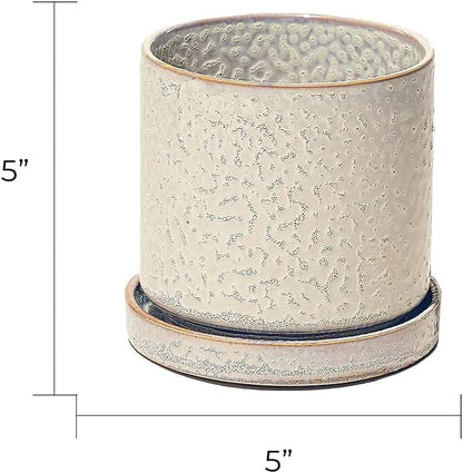 CHIVE ‘Minute’ Ceramic Planter Pot — Cute 5” Colorful Succulent Pots for Indoor & Outdoor House Plants — Beautiful Modern Farmhouse Kitchen Decor — Ivory Speckle