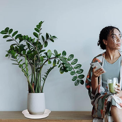 6 Pack of 8 inch Plant Saucer, Heavy Duty Plastic Plant Drip Trays 8" Round, Plant Dishes Saucer, Flower Plant Water Trays for Indoors, Plate for Planter 7-9" (8 inch, Creamy White)