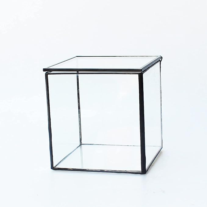 Small Square Glass Terrarium with Lid,Geometric Clear Box for Indoor Plants,Black Little Handmade Planter Pot for Succulents,Moss and Air Plant Fern,Home Garden Decor,4.3 x 4.3 x 4.7inch