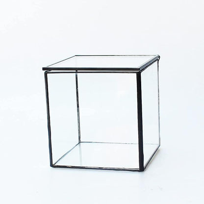 Small Square Glass Terrarium with Lid,Geometric Clear Box for Indoor Plants,Black Little Handmade Planter Pot for Succulents,Moss and Air Plant Fern,Home Garden Decor,4.3 x 4.3 x 4.7inch