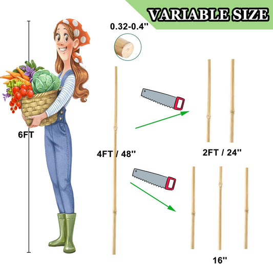 Bamboo Plant Stakes – 25pcs 4FT Natural Bamboo Garden Stakes for Tomatoes, Peppers, Beans, Indoor & Outdoor Plants, Sturdy Plant Support for Seedlings & Potted Plants