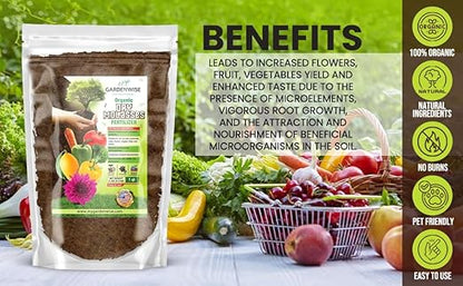 Organic Molasses for Plants - Horticultural Molasses - Ideal for Traditional & Hydroponic Gardening, for Indoor & Outdoor Plants (1/2 Quart)