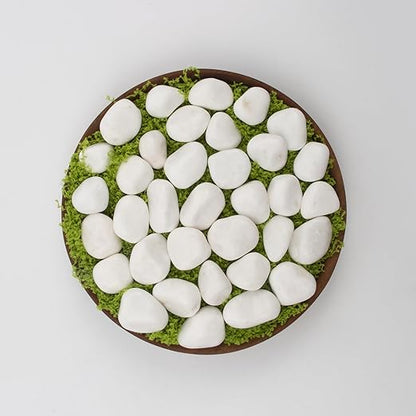 40 lbs White Polished Landscape Stones, 0.5-1 Inch Decorative Rocks for Gardens, Pathways, Pots, Vase Fillers, Aquarium Decoration, Glass Containers, and Yard Borde (Pure White, Weight: 40 LB)