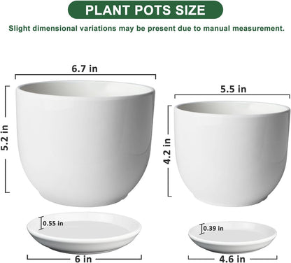 6.7 + 5.5 Inch Plant Pot, Ceramic Planter with Drainage and Saucer, Ceramic Pots for Plants, Indoor Plant pots,Succulent Pot Orchid Pots(Smooth White,Plant Pot Only)