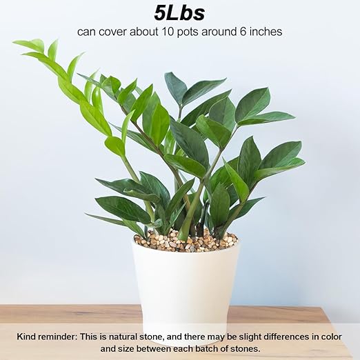 Landscaping Pebbles River Rocks Decorative Ornamental Pebbles Garden Landscaping Stones Gravel Filler for Home Decoration Flower Bed Fish Tank Plants Vases Succulents (1, Mixed Color, 5 Pounds)