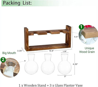 Propagation Station, Plants Terrarium, Plants Lover Gifts for Women,Plant Cutting Holder Home décor,Gifts for Women,House Warming New Home-3 Bulbs-Easy