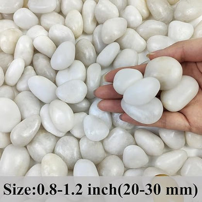 2 lbs Small White Pebbles for Plants, 0.8-1.2 inch Decorative River Rocks for Plants, Aquariums, Landscaping. White Stones for Planter Vase and Outdoor Garden Rocks