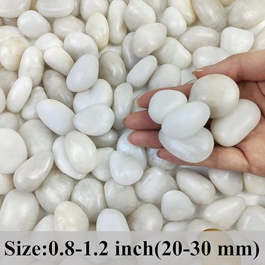 2 lbs Small White Pebbles for Plants, 0.8-1.2 inch Decorative River Rocks for Plants, Aquariums, Landscaping. White Stones for Planter Vase and Outdoor Garden Rocks