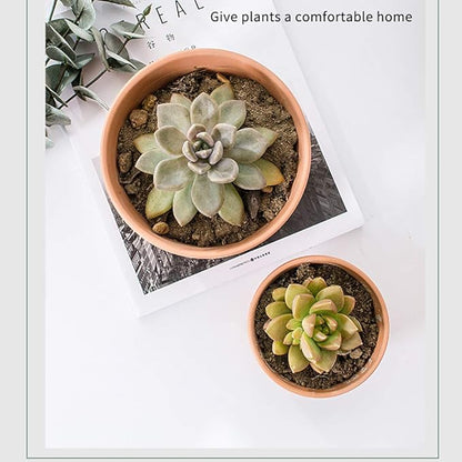 Briful 4 PCS Shallow Terracotta Pots 5.5"x2.8" Flower Pot Clay Pottery Planter with Drainage Hole Cactus Succulent Plant Nursery Pots- Great for Plants,Crafts