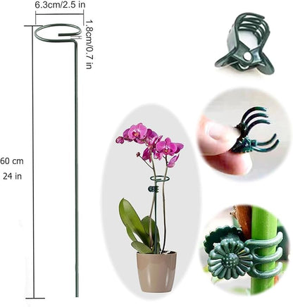 10 pcs 24 inch Metal Single Stem Flower Plant Support Stakes and Rings for Amaryllis Orchid Lily Sunflower Rose Narcissus