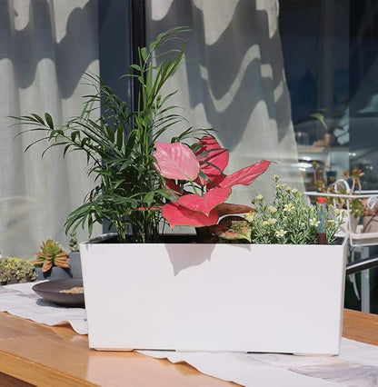 SAROSORA 14" Rectangle Self Watering Planter with Water Level Indicators for Plants & Flower Home Garden Outdoor Indoor Succulent | Herb pots | Window Box (1, White)