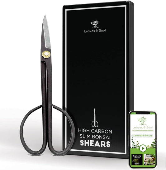 Professional Bonsai Slim Scissors | Pruning Shears for Trimming Plants | Japanese Gardening, Bonsai Tools | Garden Scissors