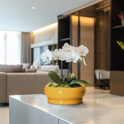 Bonsai Pots - 8 Inch Ceramic Succulent Planter for Indoor Outdoor, Shallow Planters with Drainage Hole and Saucer, Round Modern Planter Bowl, Window Decor, Gifts for Plant Lovers, Yellow